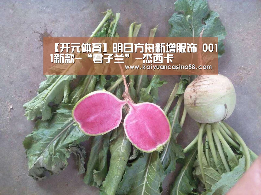 【开元体育】明日方舟新增服饰 0011新款-“君子兰”-杰西卡(图1) 开元登录