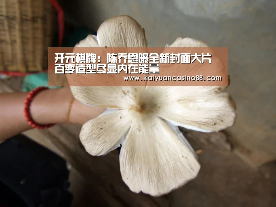 开元棋牌:陈乔恩曝全新封面大片 百变造型尽显内在能量(图4) 开元棋牌