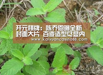 开元棋牌:陈乔恩曝全新封面大片 百变造型尽显内在能量(图3) 开元登录