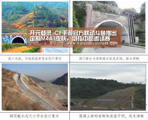 开元登录_CF手游官方联动斗鱼推出定制M4A1皮肤,剑指中越邀请赛(图3) 开元棋牌