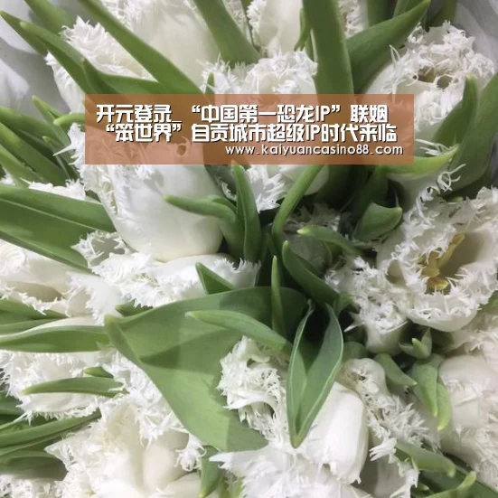 开元登录_“中国第一恐龙IP”联姻“笨世界”自贡城市超级IP时代来临了!(图2) 开元登录